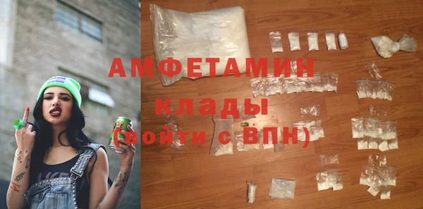 индика Рославль