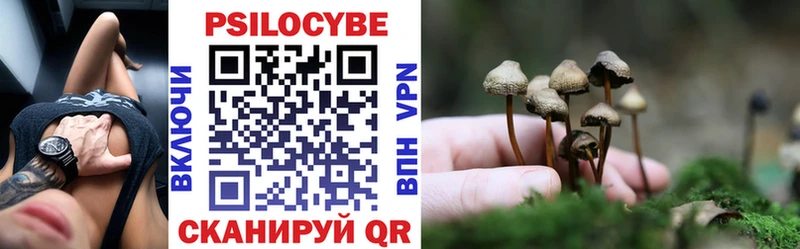 где найти наркотики  Мичуринск  Псилоцибиновые грибы Magic Shrooms 