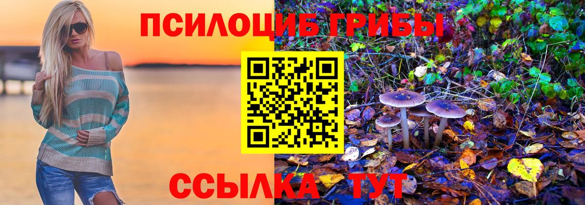 Галлюциногенные грибы MAGIC MUSHROOMS Мичуринск