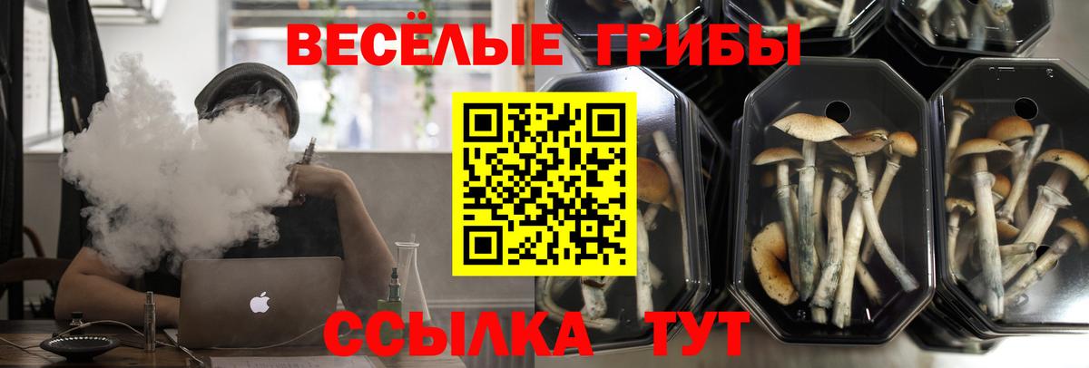 Псилоцибиновые грибы мицелий  Вход с VPN  Мичуринск 
